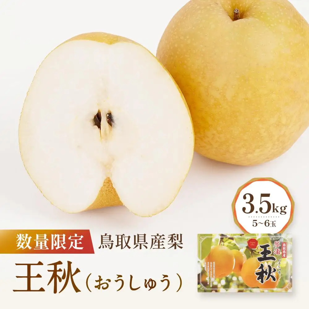 先行予約 数量限定 鳥取県産梨 王秋 3.5kg（5～6玉） 梨