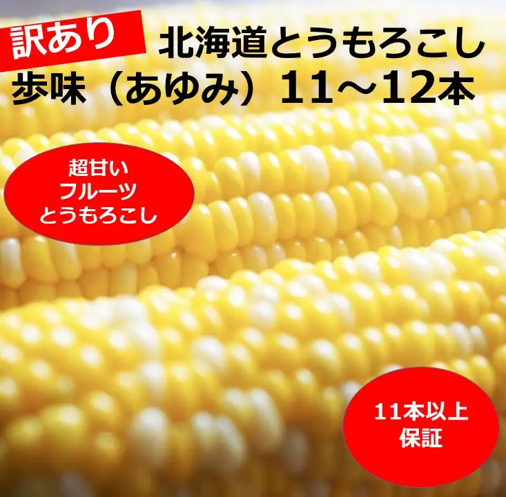 訳あり 北海道 歩味（あゆみ）バイカラーコーン 11～12本入り とうもろこし トウモロコシ 数量限定 期間限定 甘い 朝採れ