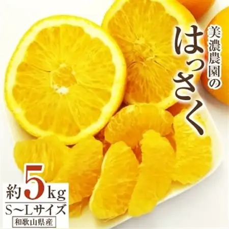 和歌山県産　美濃農園のはっさく 約5kg(皮をむく道具付き)_果物・フルーツ  柑橘 _【1272362】
