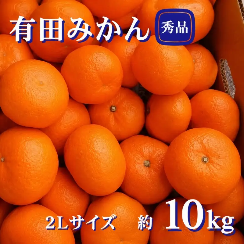 紀州 有田 みかん 秀品 10kg ２Lサイズ　※2026年11月下旬～2027年1月中旬頃順次発送予定 ※北海道・沖縄・離島への配送不可【sml004-r-2l-10】