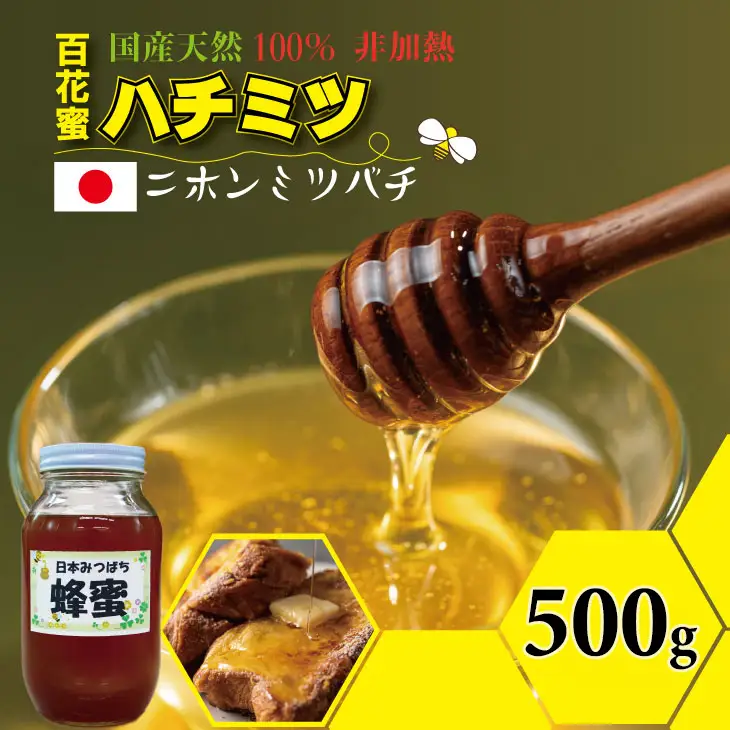 はちみつ 日本蜜蜂 百花蜜 500g はちみつ 国産 B120-080