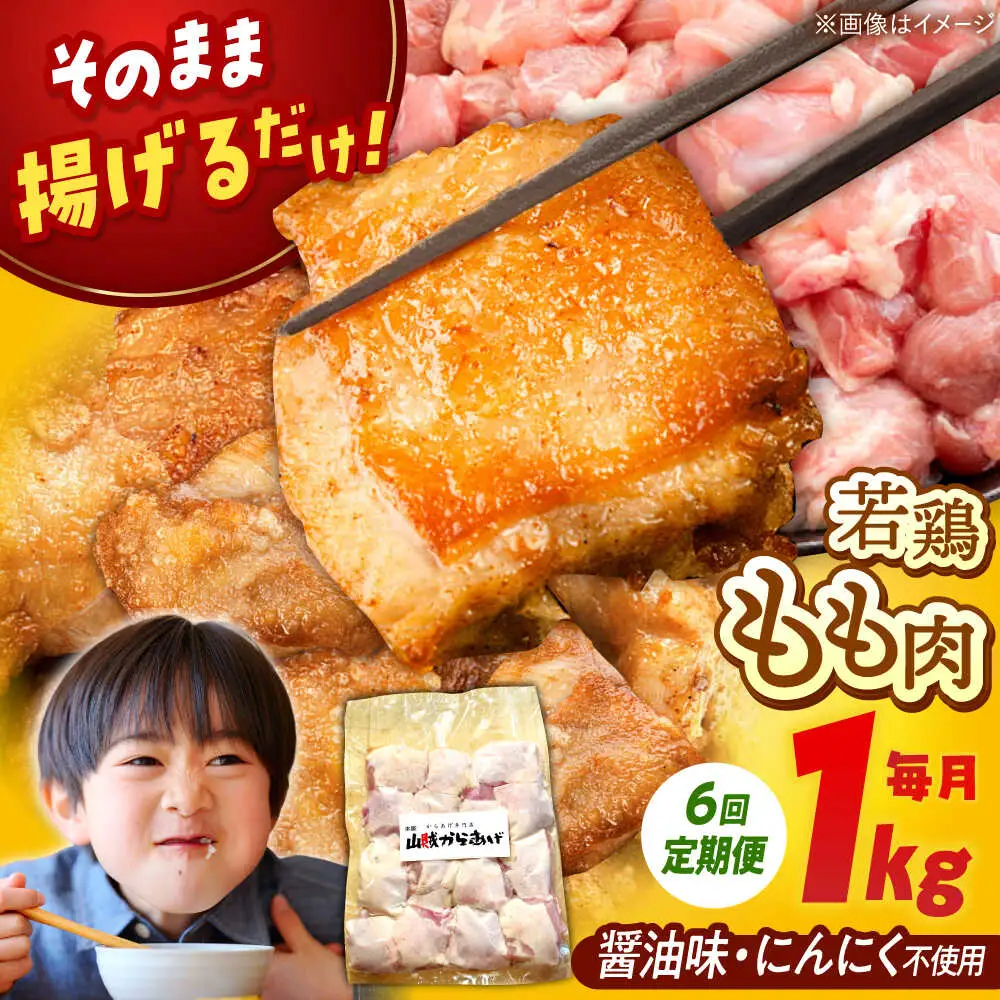 【全6回定期便】山賊からあげ（ 骨なし ）1kg 桂川町/山賊からあげ桂川店 [ADAP004] 唐揚げ 骨なし 味付き カット済み お弁当 おかず 鶏肉 冷凍配送