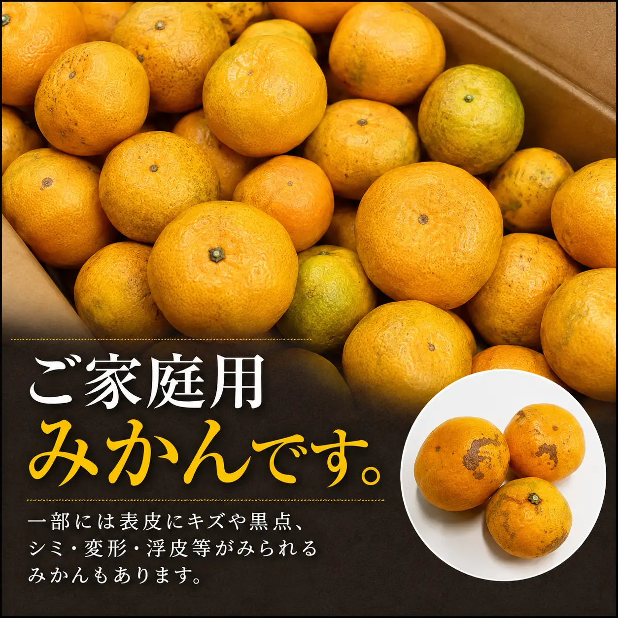 ご家庭用 温州みかん 約5kg 村上農園 | みかん ミカン 蜜柑 温州 家庭用 熊本県 玉名市