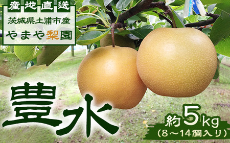 豊水約5kg（8～14個入り） 【茨城県産】
