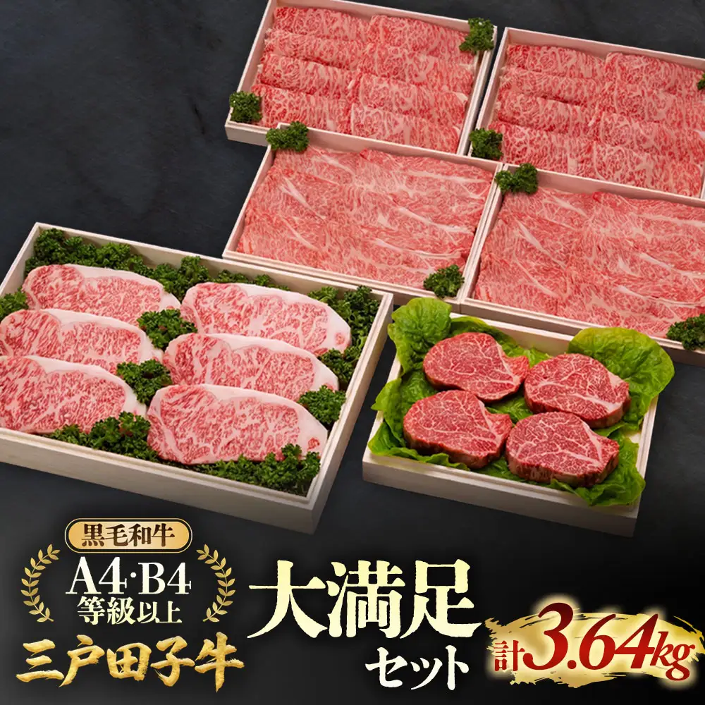 【大容量】国産和牛 大満足セット 3.64kg 黒毛和牛 「三戸・田子牛」