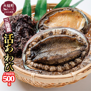 【期間限定11月～12月発送】活アワビ 約500g（4個前後）【05】三陸 岩手県 大槌町 あわび 人気 鮑 いわて iwate  2026