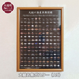 大槌お魚ポスター (A3サイズ)