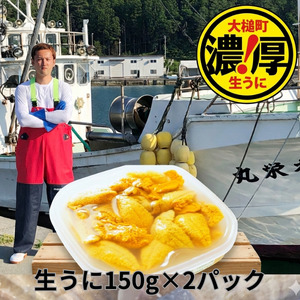 三陸産生うに150g×2パック【令和8年6月～8月発送予定】【配送日指定不可】【35】 