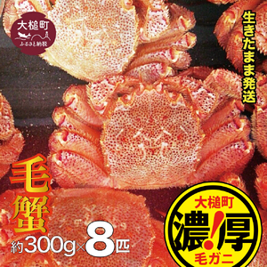 【令和9年発送】三陸産！活毛ガニセット 300g×8杯【08】【2027年2月～4月発送】