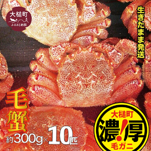 【令和9年発送】三陸産！活毛ガニセット 300g×10杯【08】【2027年2月～4月発送】