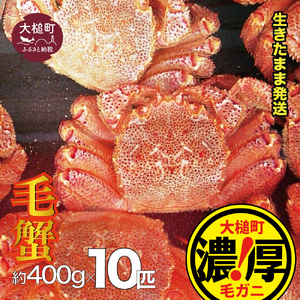 【令和9年発送】三陸産！活毛ガニセット 400g×10杯【08】【2027年2月～4月発送】