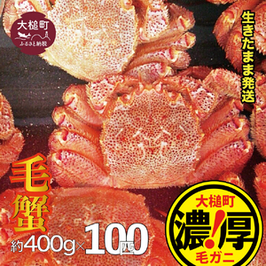 【令和9年発送】三陸産！活毛ガニセット 400g×100杯【08】【2027年2月～4月発送】