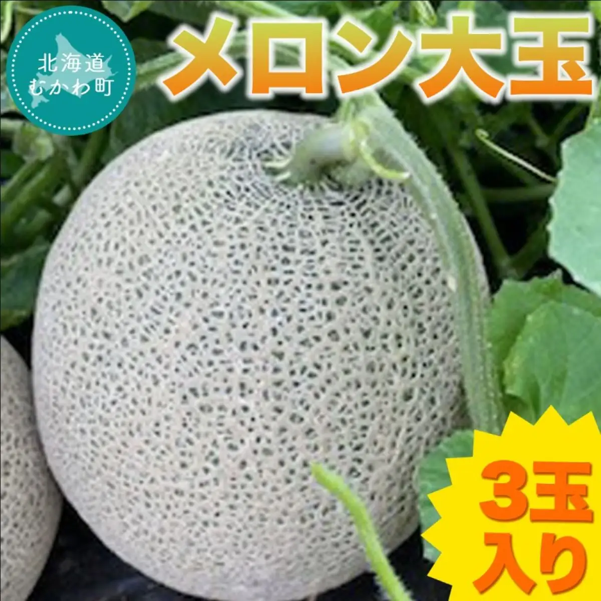 【2027年7月以降発送】メロン大玉3玉入り MKWF011