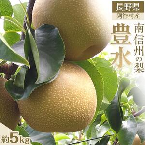 【先行予約】南信州阿智村　梨【豊水】｜果物 フルーツ 期間限定 数量限定 5kg 信州 長野