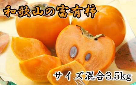 【2026年秋・発送分！】[甘柿の王様]和歌山産富有柿約3.5kgサイズ混合★2026年11月上旬頃より順次発送【tec980A】