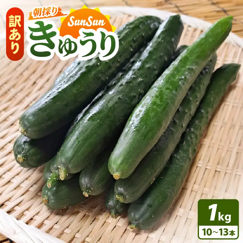 【先行予約】【訳あり】期間限定 太陽の光サンサンと浴びた「SunSun きゅうり」 1kg以上【2026年7月上旬以降順次発送】【胡瓜 野菜 漬物】】 [e35-a055]