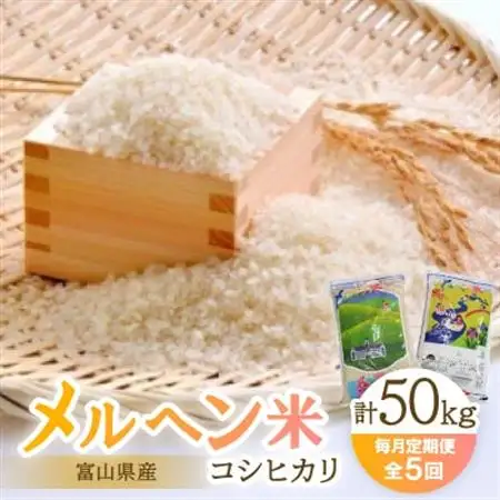 【毎月定期便】富山県メルヘン米コシヒカリ計50kg(10kg×5回)全5回【4013231】