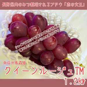 【南信州高森産】クイーンルージュTM１.2㎏＜2026年9月中旬より発送＞