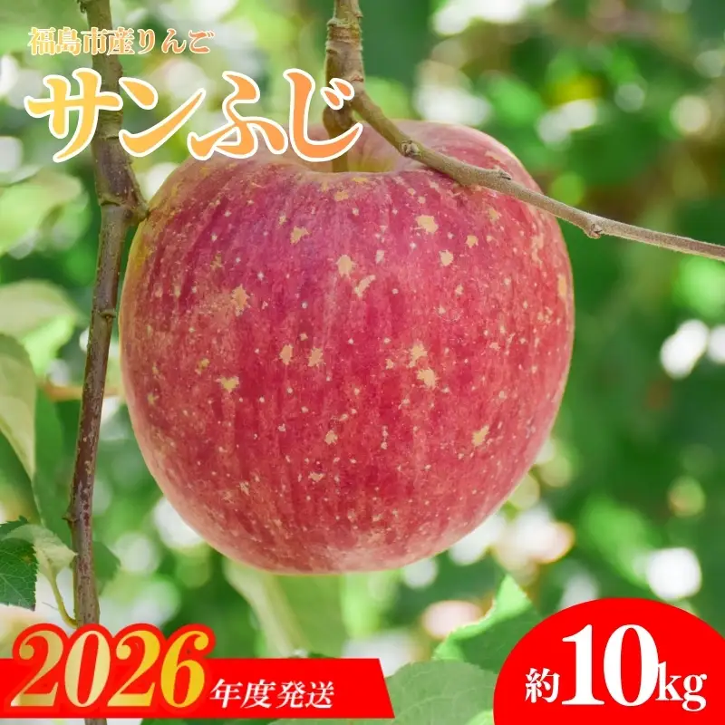 No.1473 りんご「サンふじ」約10kg【2026年度発送】