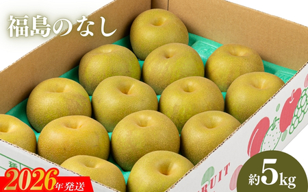 No.2043 【2026年発送 先行予約】福島のなし　約５kg（幸水または豊水）