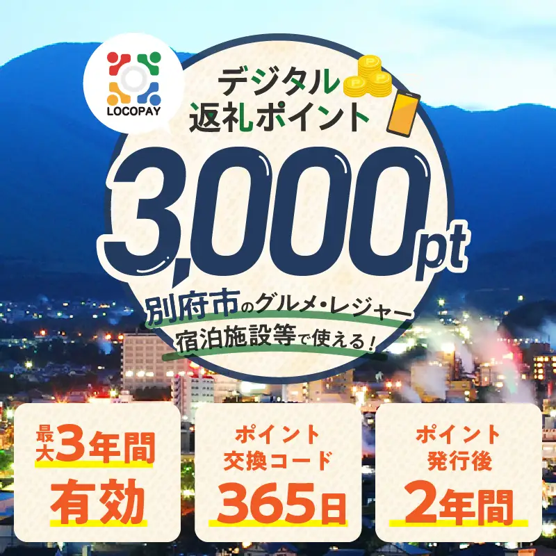 LOCOPAYデジタル返礼ポイント【3,000ポイント】_B167-001