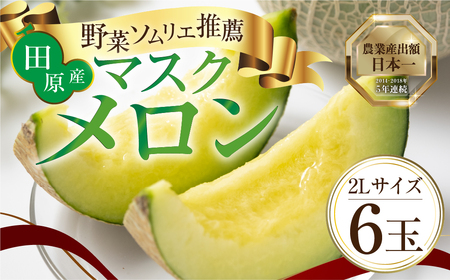 2027年先行予約 数量限定 野菜ソムリエ推薦渥美半島伊良湖潮風育ち厳選マスクメロン6玉(8～9キロ)小分け用ギフト箱1箱付き  田原市 伊良湖産 ギフト プレゼント お取り寄せ 渥美半島 農家直送 送料無料 30000円 メロンフルーツ