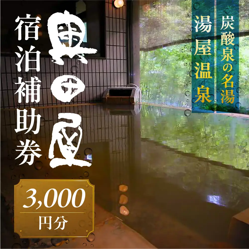 湯屋温泉 【奥田屋】宿泊補助券（3,000円分）【a028-1】