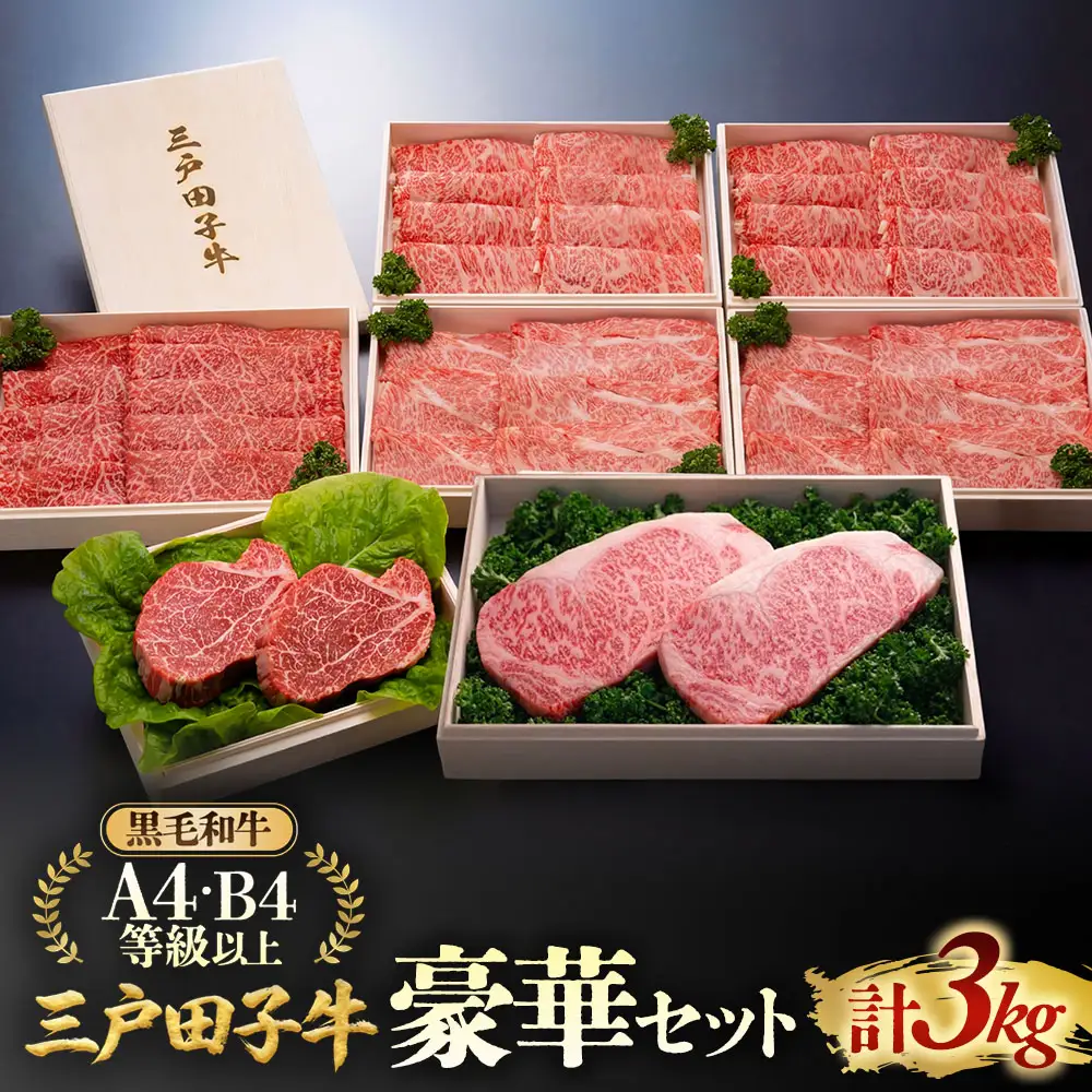 【大容量】国産和牛 豪華セット 3kg 黒毛和牛 「三戸・田子牛」