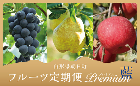 【 定期便 3回 】 フルーツ ３種類 定期便 ( ぶどう 洋梨 りんご ） 秀品 プレミアム 藍コース 農家直送 山形県 朝日町産 農産物 山形産 ブドウ ピオーネ ラ・フランス リンゴ サンふじ 果物 秋 冬