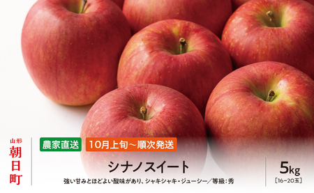 りんご シナノスイート 秀 5kg 16～20玉 【10月上旬発送】 農家直送 山形県 朝日町産 山形県産 果物 フルーツ リンゴ 林檎 秋 産地直送 先行予約