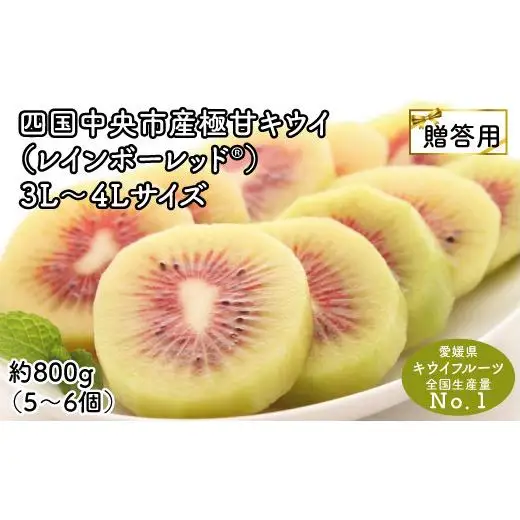 ＜10月下旬以降発送＞【ぽぽ農園】【お歳暮・贈答用・黒箱】レインボーレッドキウイ（四国中央市産レインボーレッド）3L～4Lサイズ 約800g（約5～6個）