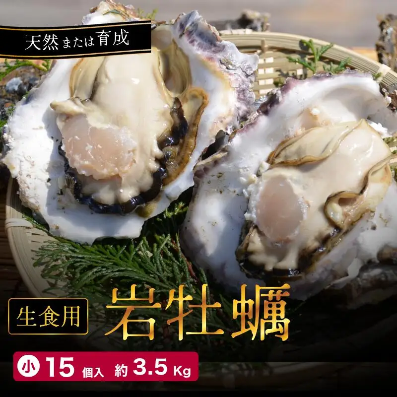 訳あり 岩がき 小サイズ 15個入 3.5kg前後 生食用 ： 牡蠣 殻付き