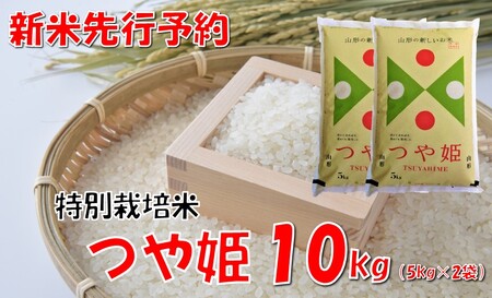 【令和８年新米  先行予約】山形県小国町産 つや姫10kg（5kg×2袋）　小国米穀商業協同組合