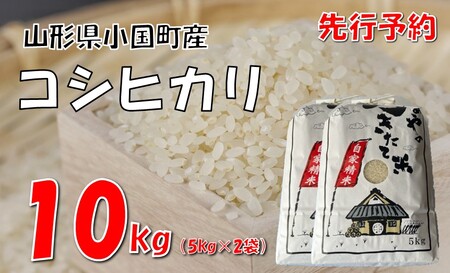 【令和７新米  先行予約】コシヒカリ10kg（5kg×2袋）