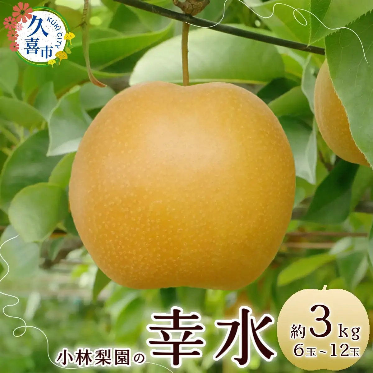 梨 幸水 約3kg 6玉～12玉 幸水