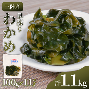 早採りわかめ 100g × 11パック 計1.1kg わかめ 海藻 海鮮 魚貝類 魚介類 小分け 個包装 みそ汁 スープ 酢の物 三陸産 岩手県 大船渡市