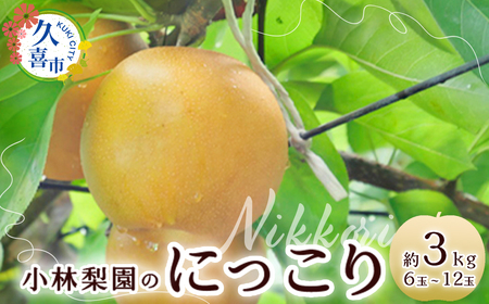 梨 にっこり 約3kg 6玉～12玉 梨