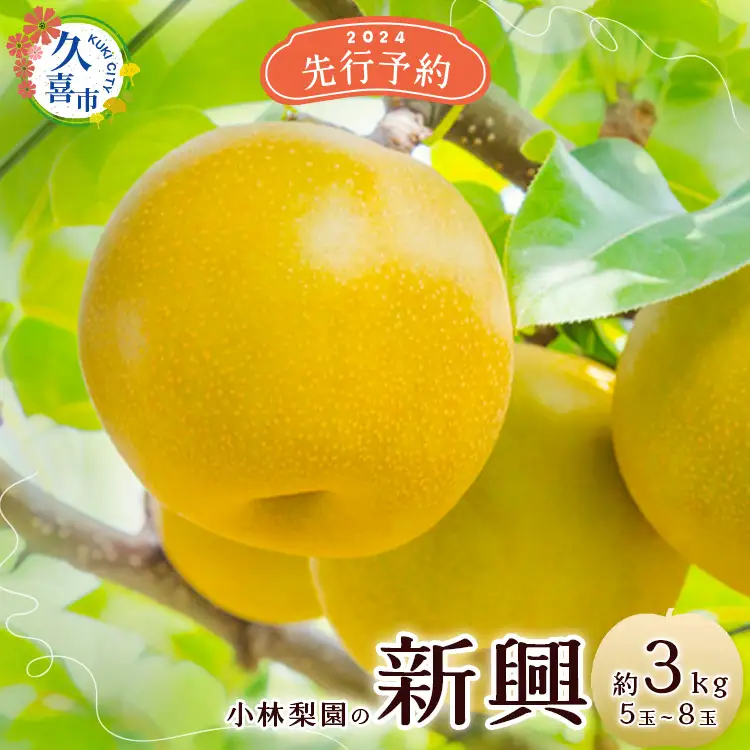 梨 新興 約3kg 6玉～12玉 梨