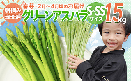 数量限定 アスパラ S～SS サイズ 1.5kg 朝採り 直送 春芽 グリーンアスパラガス 朝採れ 先行予約 【2026年2月から4月お届け】BT13