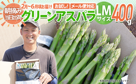 アスパラガス LM 400g【2026年2～6月配送】 BT12