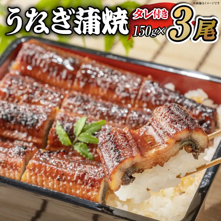 うなぎ うなぎ蒲焼 150g×3尾 タレ 山椒 セット