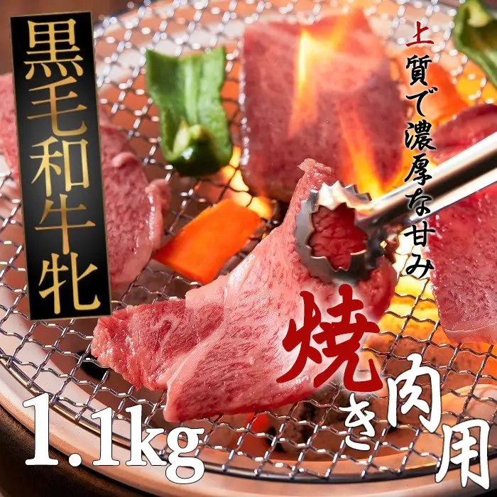 HD-5.黒毛和牛牝　ロース　焼肉用（タレ付）1.1kg