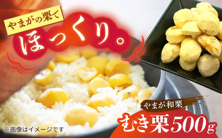 むき栗 約500ｇ（約250g×2pc） 【すみれファーム】[ZEP059]