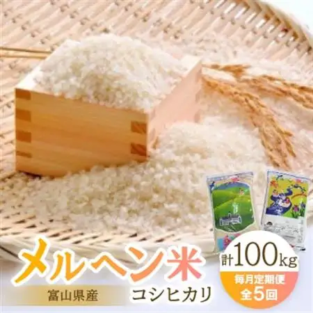【毎月定期便】富山県メルヘン米コシヒカリ計100kg(20kg×5回)全5回【4013234】