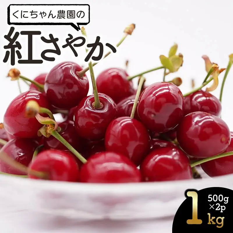 【令和9年産】 さくらんぼ 紅さやか バラ詰め 1kg（500g×2パック） 山形県鶴岡産 くにちゃん農園 K-956 