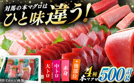対馬産 生 本マグロ 500g （赤身、中トロ、大トロ）まぐろ トロ 刺身 [WAH025] マグロ まぐろ 本マグロ