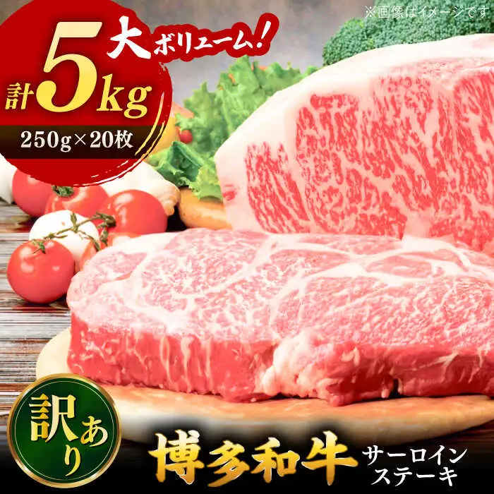 【訳あり】博多和牛 サーロイン ステーキ 5kg [ADAQ028] サーロインステーキ