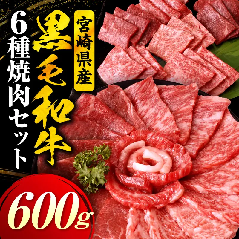 宮崎県産黒毛和牛(経産)6種焼肉セット 600g 黒毛和牛 牛肉 肉 サーロイン リブロース 肩ロース ウデ バラ モモ 焼肉 バーベキュー BBQ 濃厚 プレゼント 贈答 贈り物 ギフト_kn085-007-02