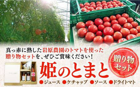 姫のとまと 贈り物セット （ジュース・ケチャップ・ソース・ドライトマト） 多治見市 / 岩原農園 トマト ケチャップ ソース[TFP001]