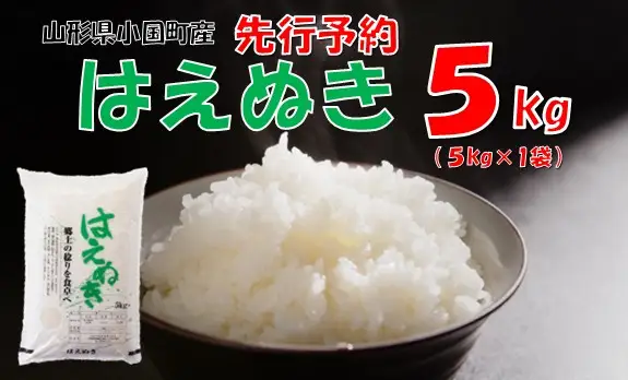 【令和８年新米  先行予約】山形県小国町産 はえぬき5kg　小国米穀商業協同組合